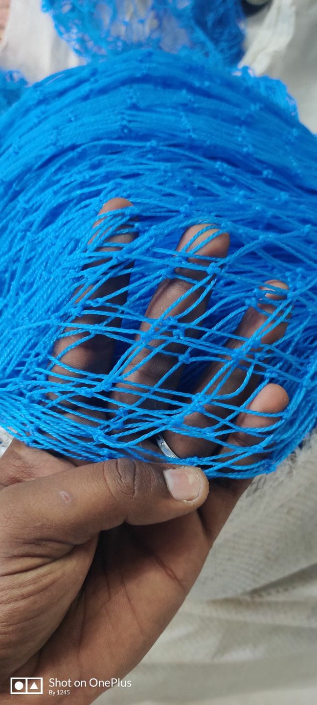 Fish Net