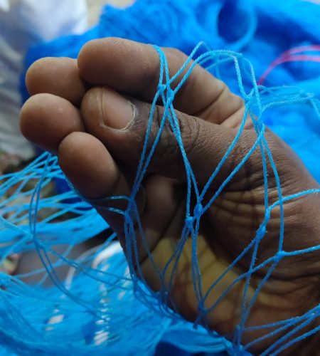 Fish Net